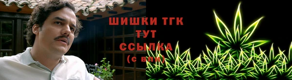 СК Инта