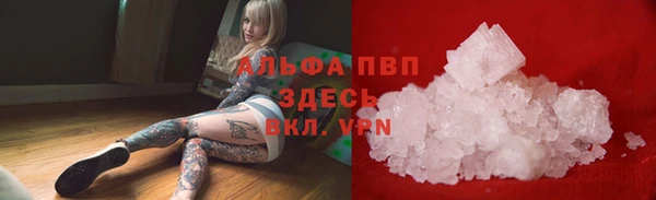 PSILOCYBIN Армянск