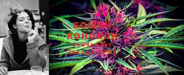 PSILOCYBIN Армянск