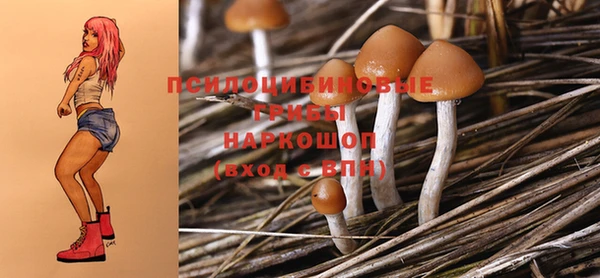 тгк Аркадак