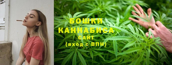 PSILOCYBIN Армянск