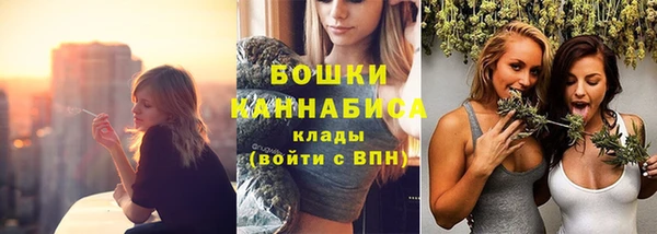 PSILOCYBIN Армянск